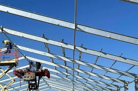 Guía de instalación in situ o montaje remoto 