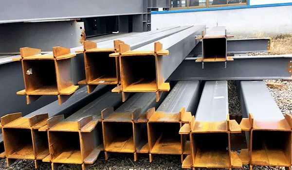 Características estructurales