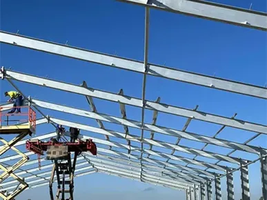 Gallinero con estructura de acero de Polonia