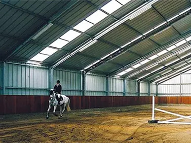 Campo de entrenamiento de caballos