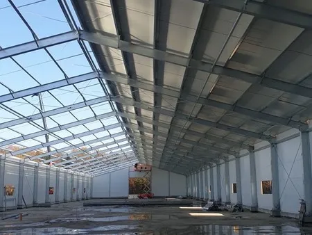 Estructura de acero galvanizado en caliente para edificios de granjas avícolas
