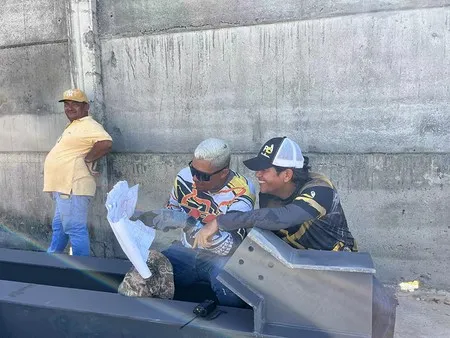 Por qué nosotros